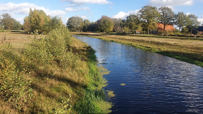 Wandeling Nijreesbos De Doorbraak van Wandelen in Twente bij ecologische verbindingszone