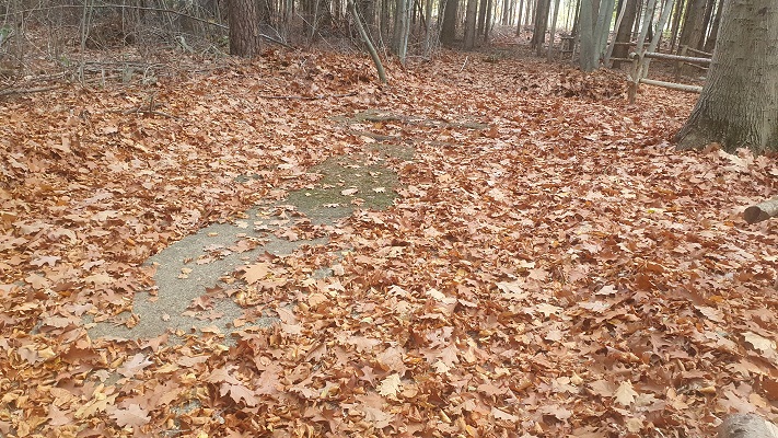 Wandeling Nijreesbos De Doorbraak van Wandelen in Twente bij de V1-installatie