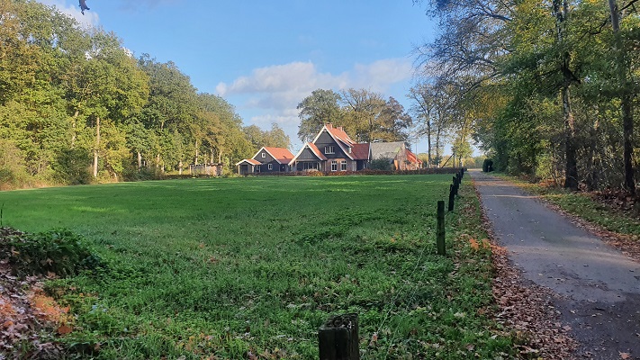 Wandeling Nijreesbos De Doorbraak van Wandelen in Twente
