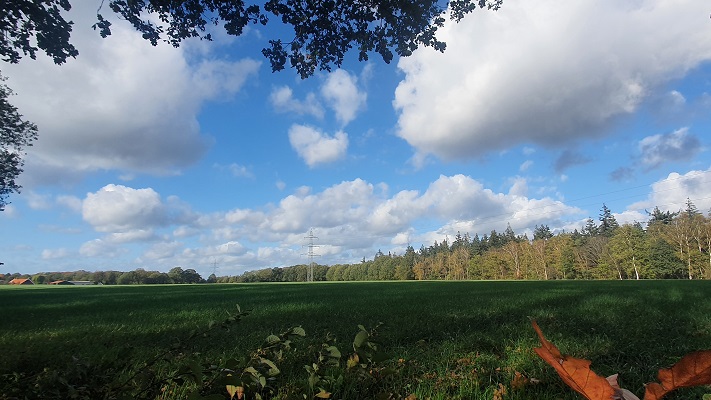 Wandeling Nijreesbos De Doorbraak van Wandelen in Twente