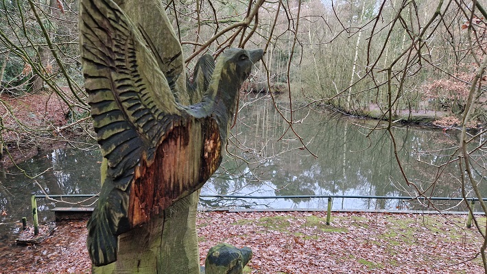 Wandeling over Knopenrondje Horst in de Kasteelbossen