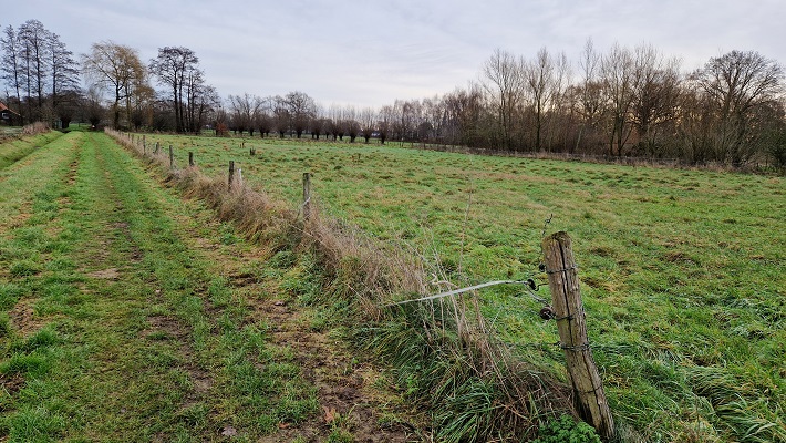 Wandeling over Knopenrondje Horst richting Melderslo