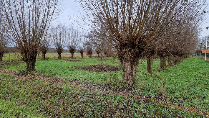 Wandeling over Knopenrondje Horst richting Melderslo