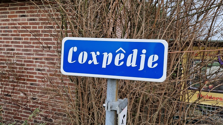 Wandeling over Knopenrondje Horst richting Melderslo bij het Coxpedje