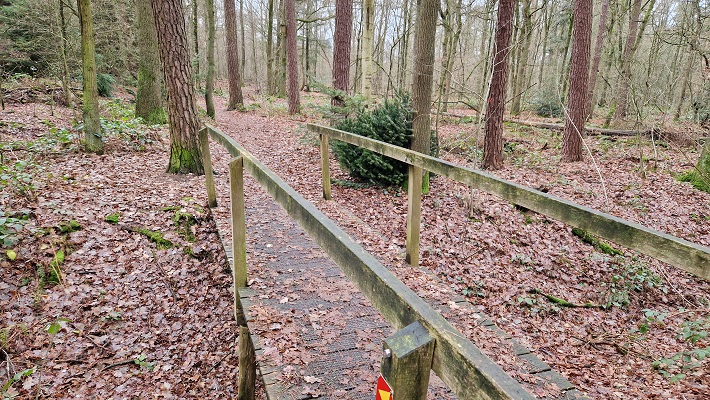 Wandeling over Knopenrondje Horst in de Kasteelbossen