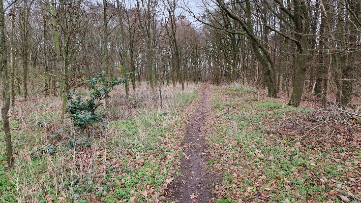 Wandeling over Knopenrondje Horst in de Kasteelbossen