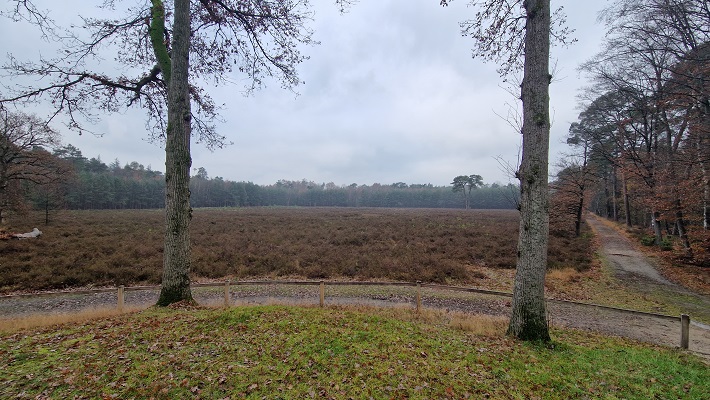 Wandeling over Trage Tocht Ruurlo bij het Windmolenveld