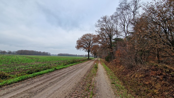 Wandeling over Trage Tocht Ruurlo