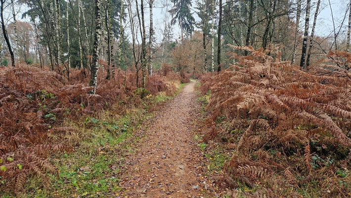 Wandeling over Trage Tocht Ruurlo