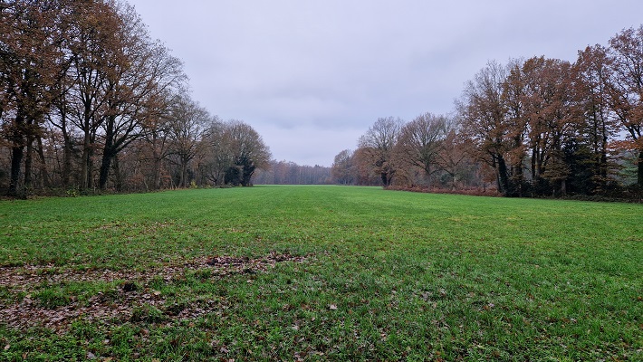 Wandeling over Trage Tocht Ruurlo