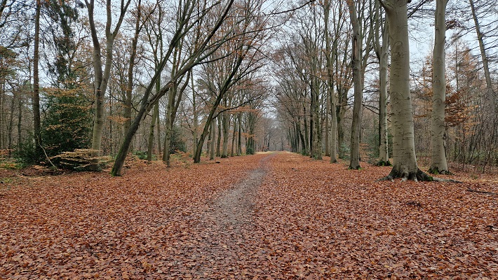 Wandeling over Trage Tocht Ruurlo