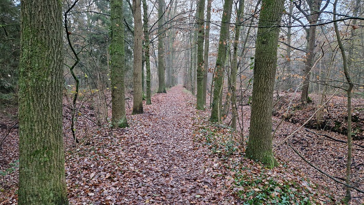 Wandeling over Trage Tocht Ruurlo
