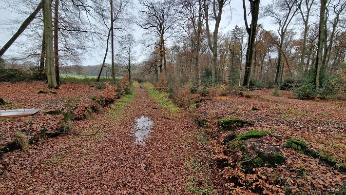 Wandeling over Trage Tocht Ruurlo bij de Baakse Beek