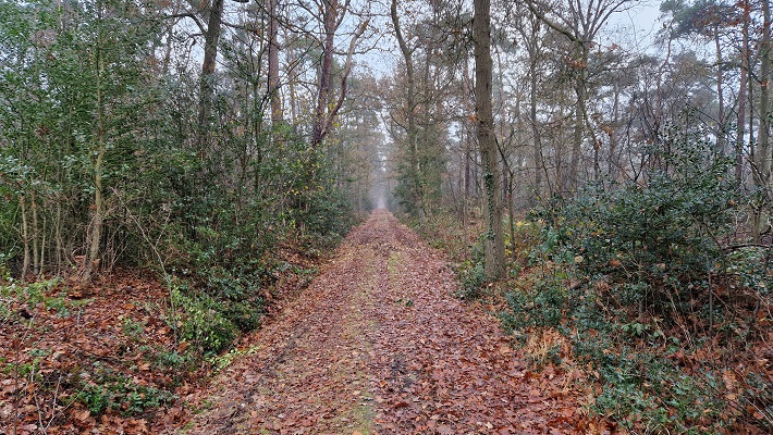 Wandeling over Trage Tocht Ruurlo
