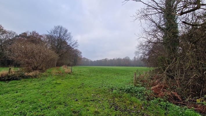 Wandeling over Trage Tocht Ruurlo