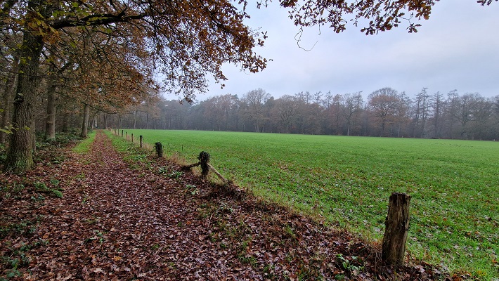 Wandeling over Trage Tocht Ruurlo