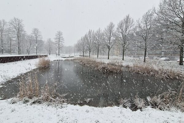Wandeling over de Zalige wandeling van Peerke Donders bij de Quirijnboulevard