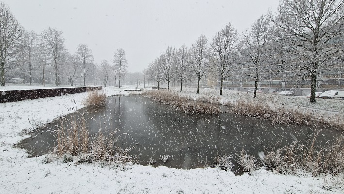 Wandeling over de Zalige wandeling van Peerke Donders bij de Quirijnboulevard