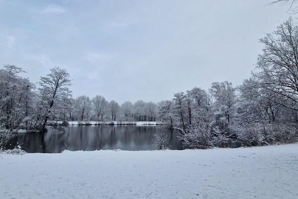 Wandeling over de Zalige wandeling van Peerke Donders