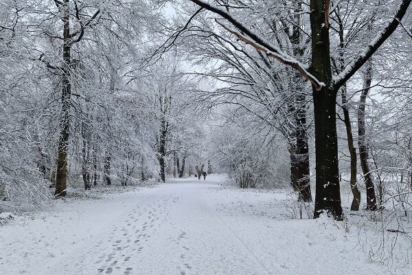 Wandeling over de Zalige wandeling van Peerke Donders