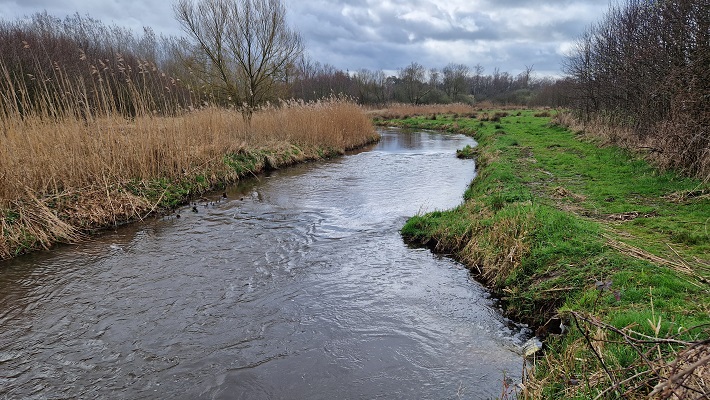 Wandeling over Ons Kloosterpad van Oisterwijk naar Biezenmortel bij de Nemer op landgoed Nemelaer