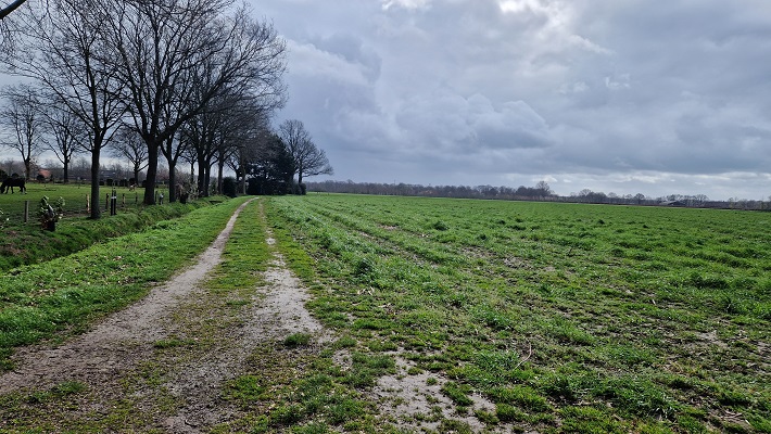 Wandeling over Ons Kloosterpad van Oisterwijk naar Biezenmortel bij buurtschap Kerkeind