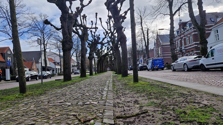 Wandeling over Ons Kloosterpad van Oisterwijk naar Biezenmortel bij het trouwlaantje in Oisterwijk