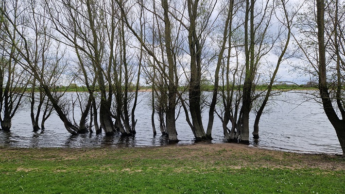 Wandeling over Klompenpad De Dikke Toren bij Varik in de Heesseltse uiterwaarden