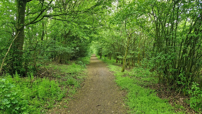 Wandeling over Knopenrondje Heel