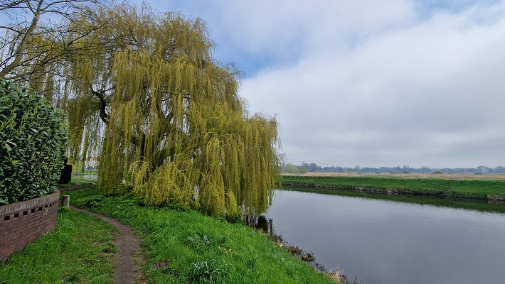 Wandeling Trage Tocht Den Bosch met Dyon Noy