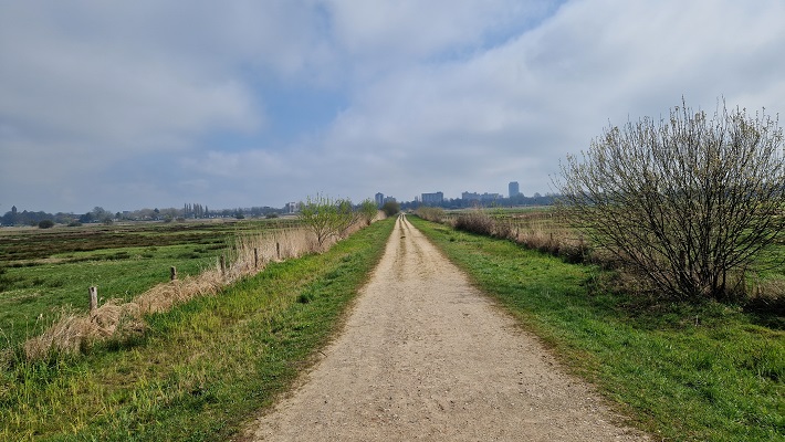 Wandeling Trage Tocht Den Bosch met Dyon Noy