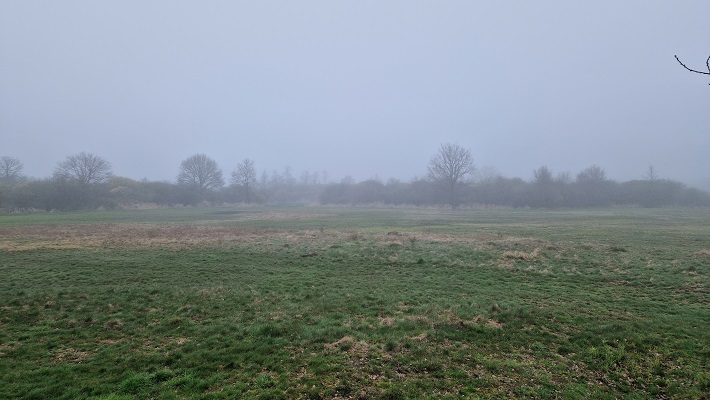 Wandeling Trage Tocht Den Bosch met Dyon Noy