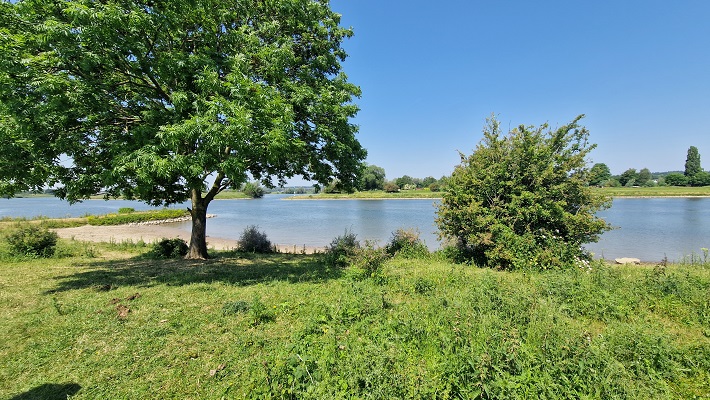 Wandeling over Trage Tocht Meinerswijk
