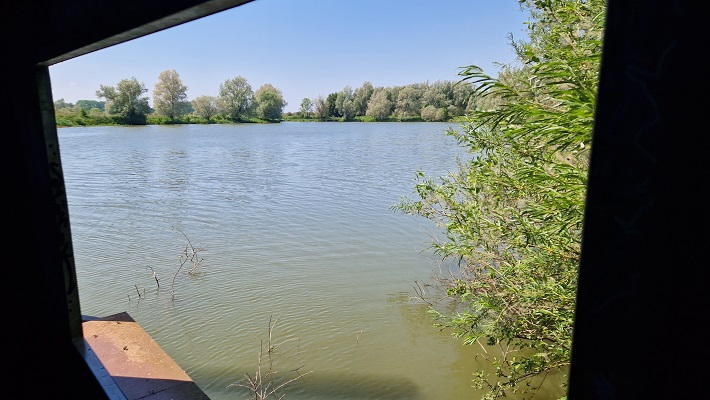 Wandeling over Trage Tocht Meinerswijk bij de vogelkijkhut