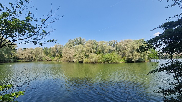 Wandeling over Trage Tocht Meinerswijk