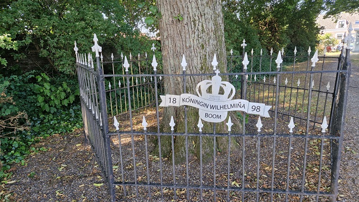 Wandeling over Trage Tocht Vianen-Hagestein bij de Wilhelminaboom in Vianen