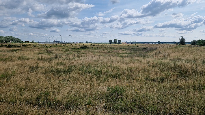 Wandeling over Trage Tocht Vianen-Hagestein in de Pontwaard