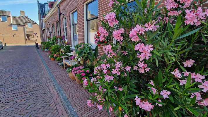 Wandeling over Trage Tocht Vianen-Hagestein