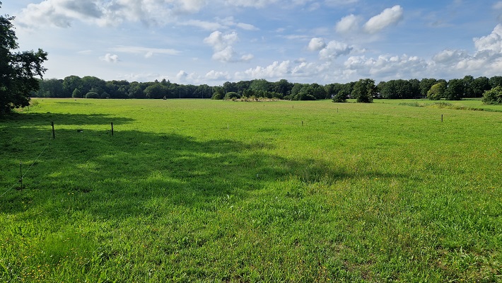 Wandeling over Knopenrondje IJhorst in het Reestdal