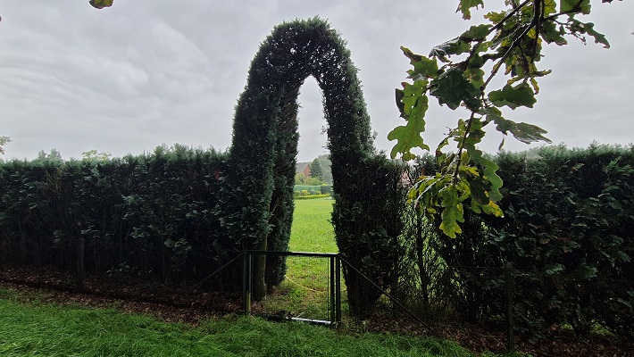 Knopenrondje Koningslust