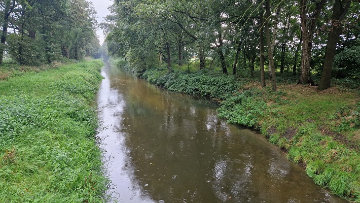 Knopenrondje Koningslust bij de Everlose Beek