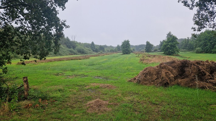 Knopenrondje Koningslust bij natuurgebied Vlakbroek
