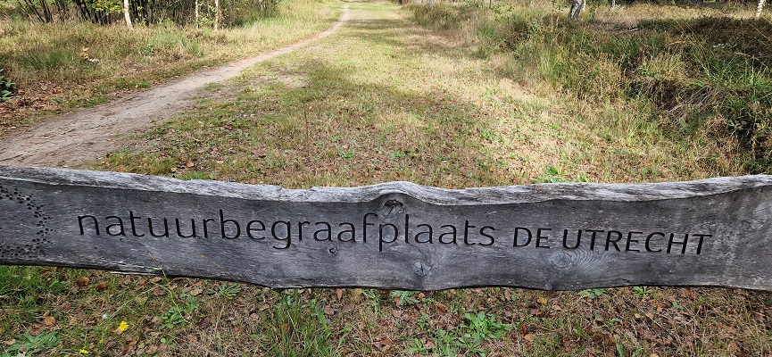Knopenrondje Lage Mierde op de Natuurbegraafplaats de Utrecht
