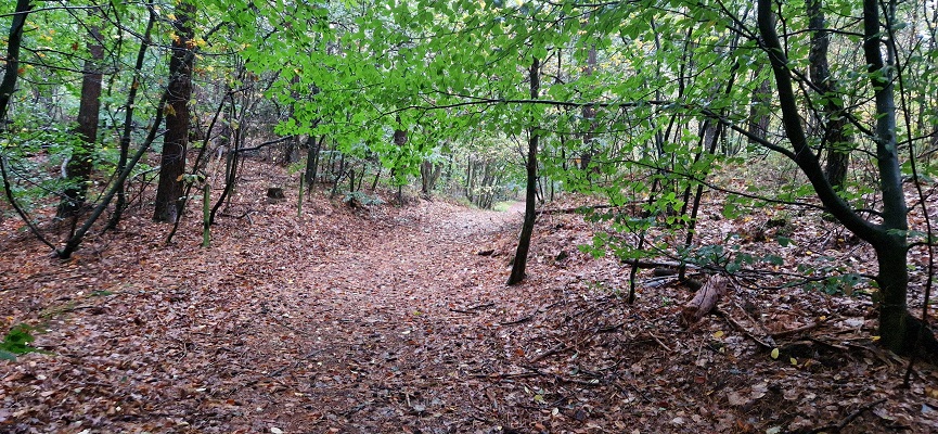 Wandeling over Trage Tocht Coldenhove Eerbeek