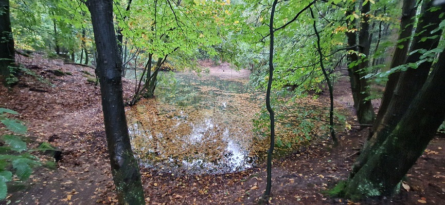Wandeling over Trage Tocht Coldenhove Eerbeek bij de spreng Loenense Beek