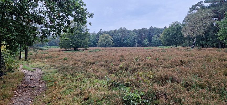 Wandeling over Trage Tocht Coldenhove Eerbeek