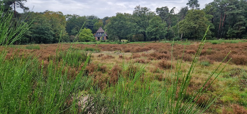 Wandeling over Trage Tocht Coldenhove Eerbeek