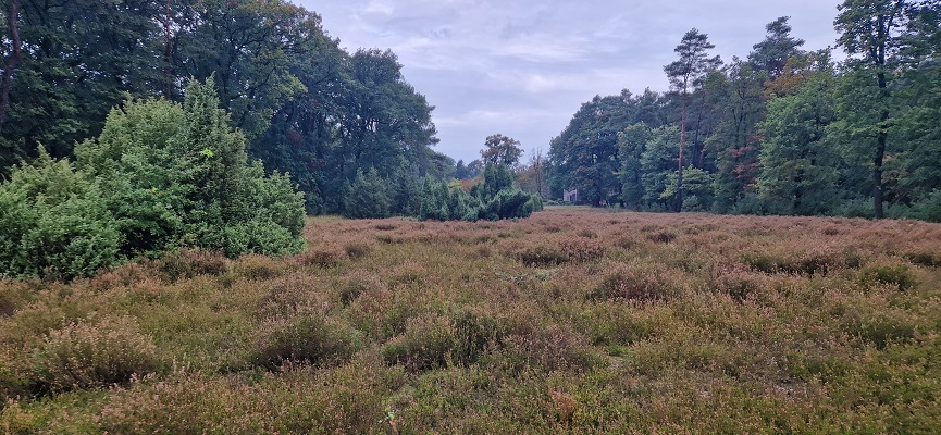 Wandeling over Trage Tocht Coldenhove Eerbeek