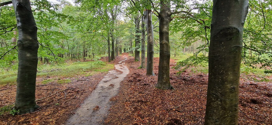 Wandeling over Trage Tocht Coldenhove Eerbeek op landgoed Groenouwe