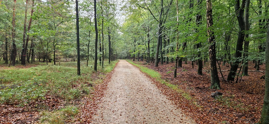 Wandeling over Trage Tocht Coldenhove Eerbeek op landgoed Groenouwe